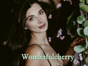 Wonderfulcherry