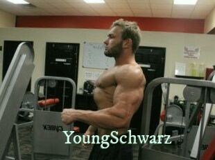 YoungSchwarz