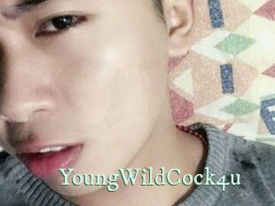 YoungWildCock4u