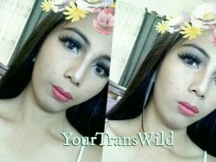 YourTransWild