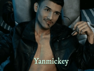yanmickey Top Blog X