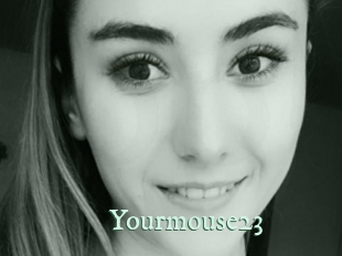 Yourmouse23