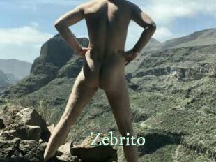 Zebrito