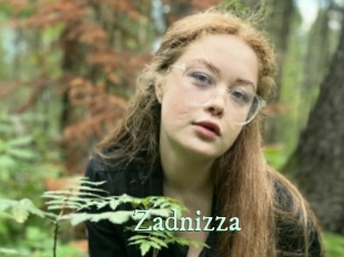 Zadnizza