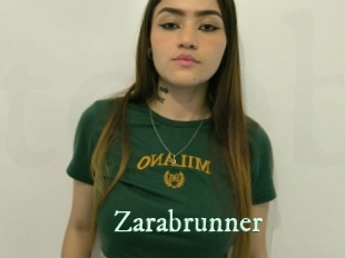 zarabrunner Top Blog X