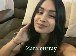 zaramurray Top Blog X