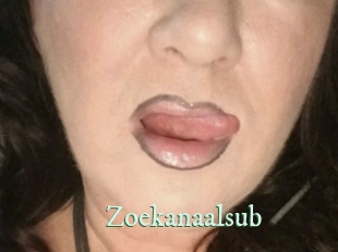 Zoekanaalsub